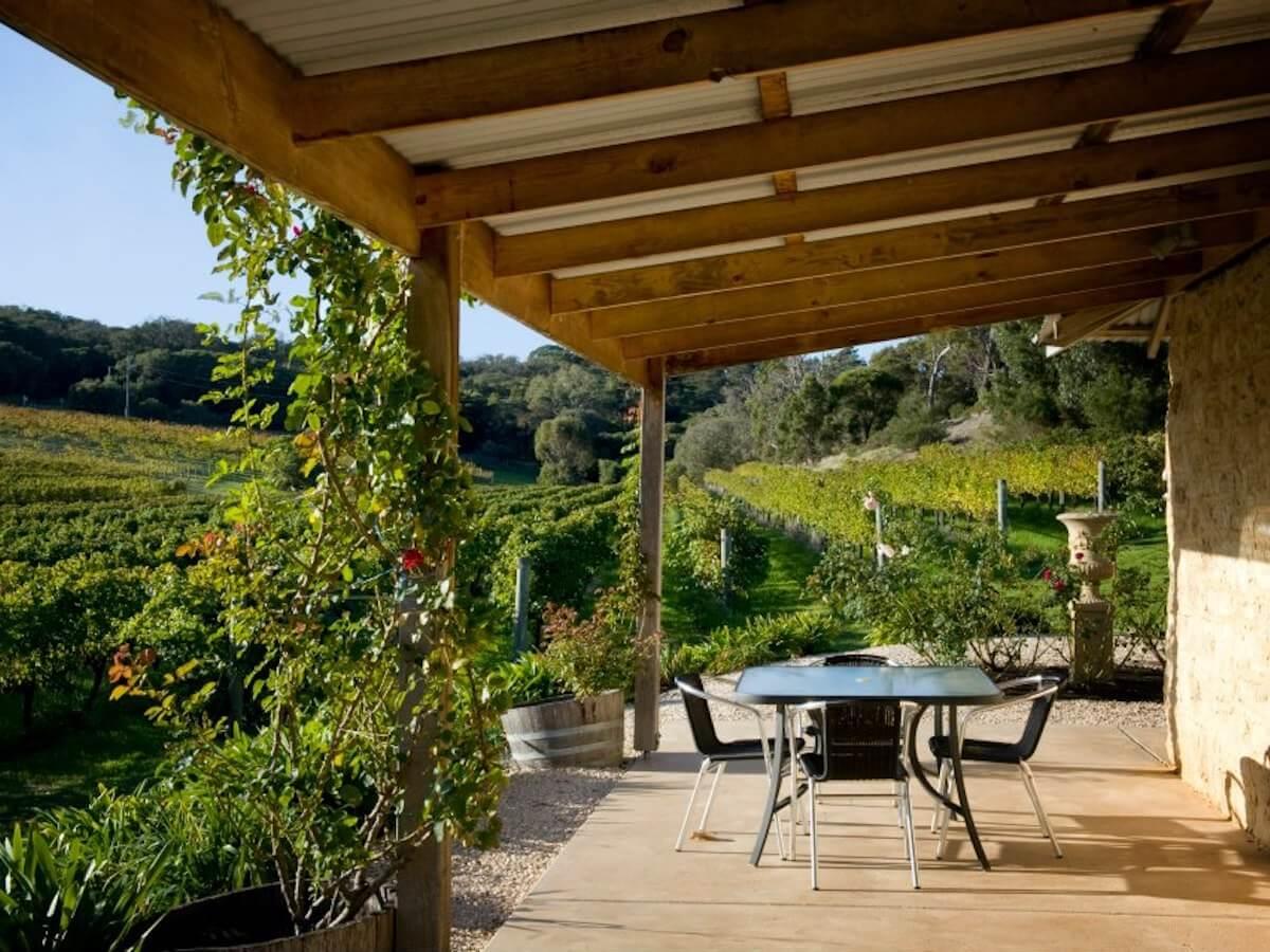 Cape Naturaliste Vineyard