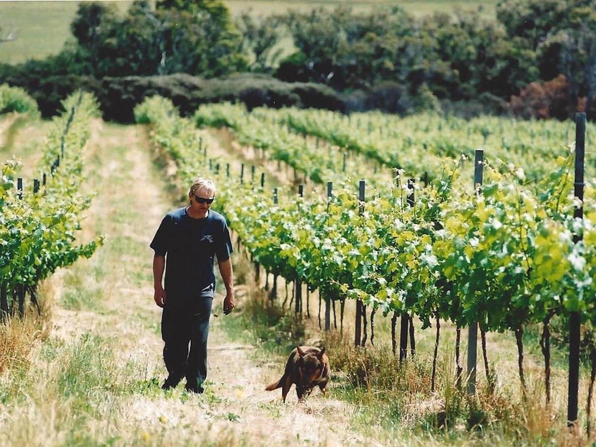 Yilgarnia Wines