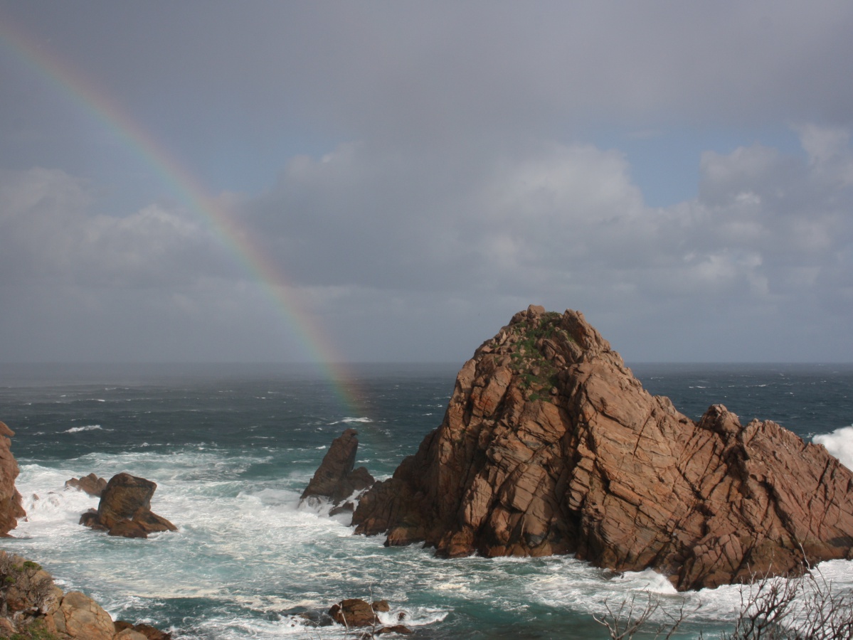 Sugarloaf Rock, Naturaliste