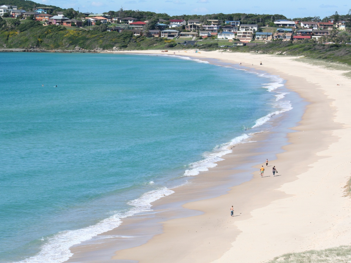 Forster