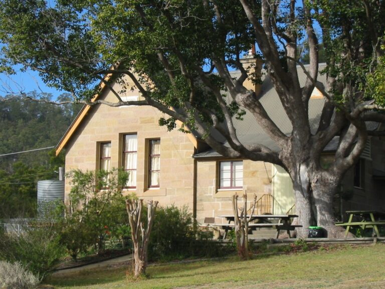 175386 lrg 768x576