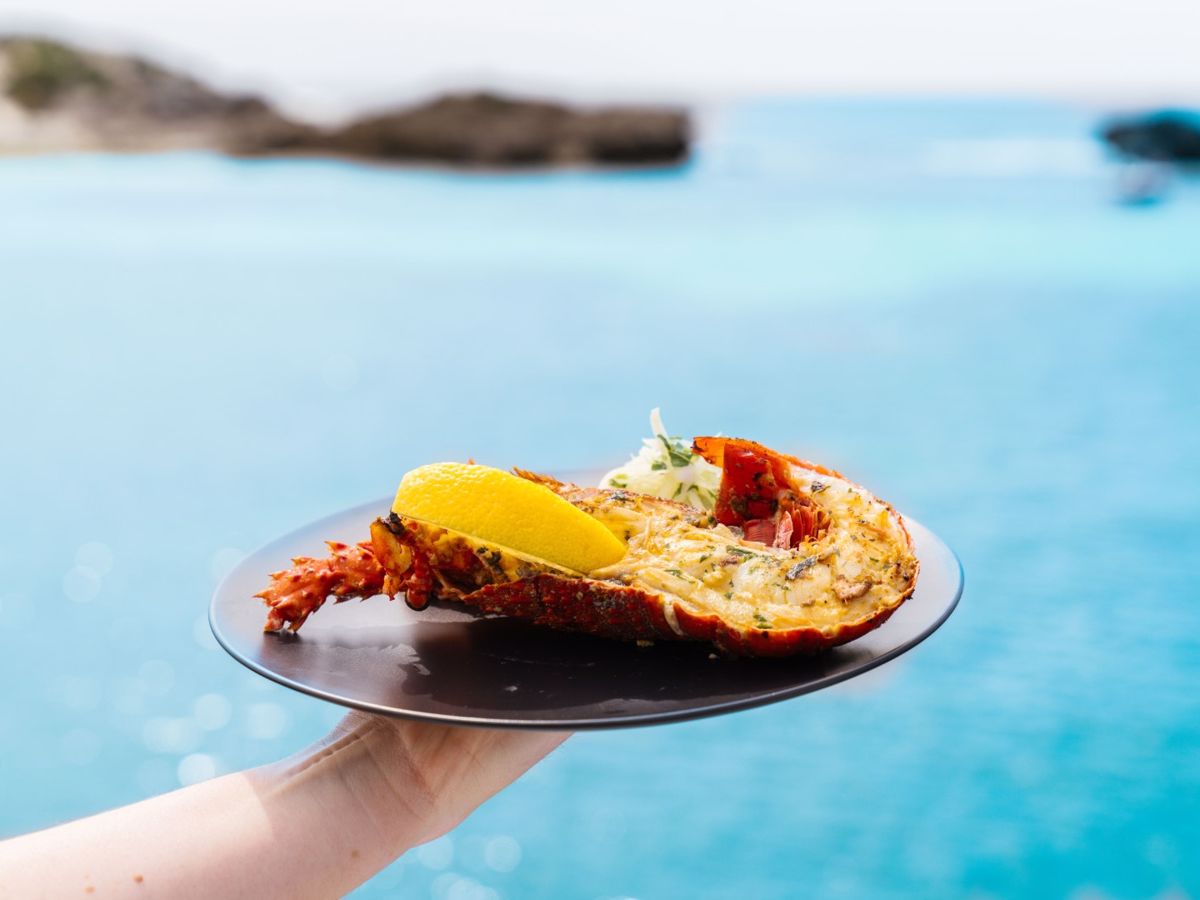 Rottnest Luxe Island Seafood Cruise