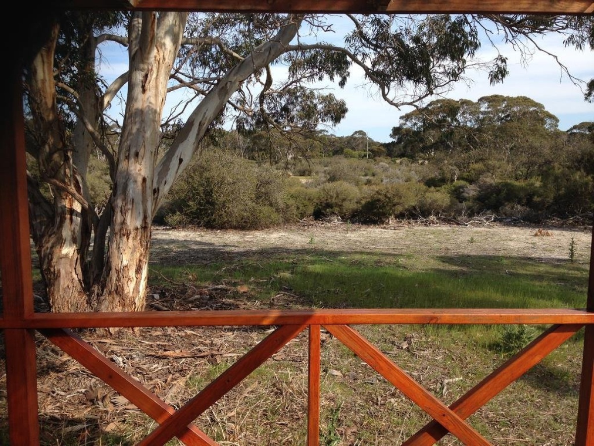Seal Bay Cottages (Kaiwarra)