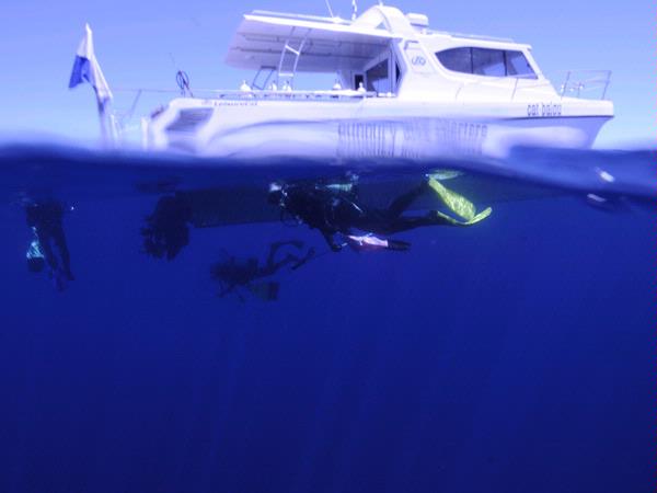 Coastal Water Dive