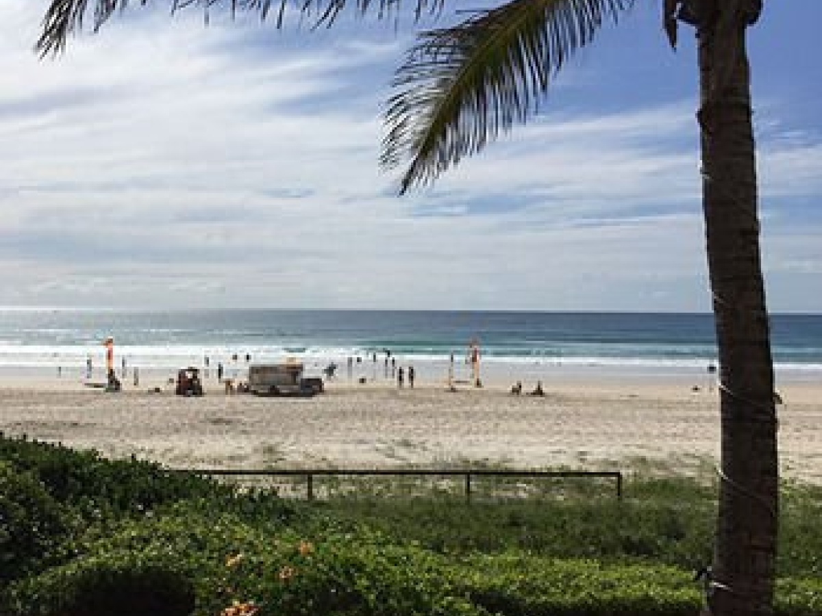 Surfers Horizons