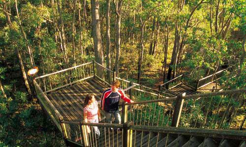 Forest Heritage Centre