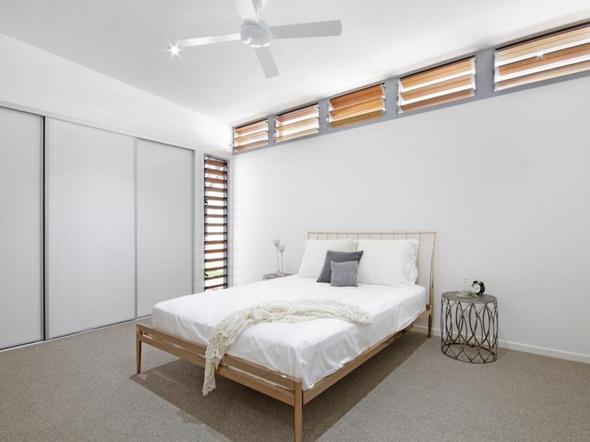 Papillon Coolum