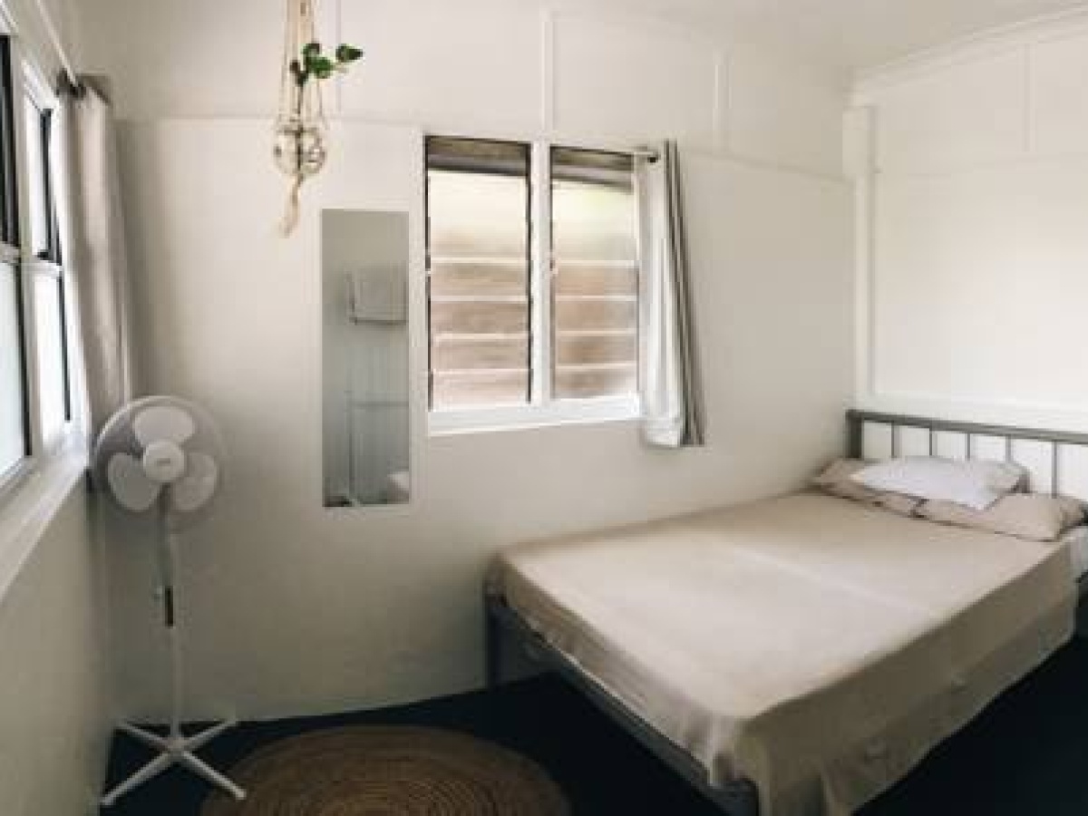 Bluetongue Backpackers