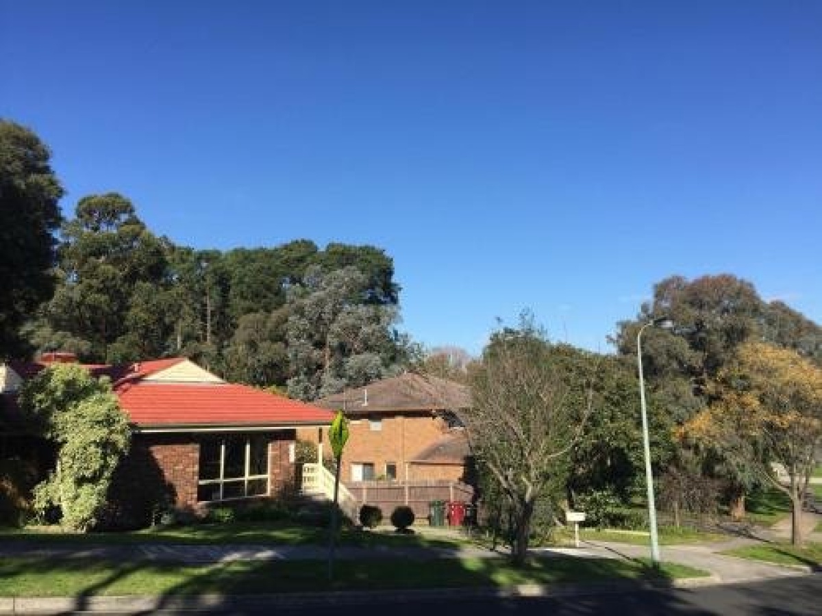 No 96, Donvale