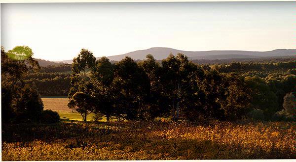 Willoughby Park Wines