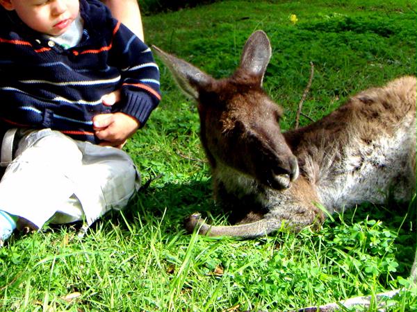 Bunbury Wildlife Park