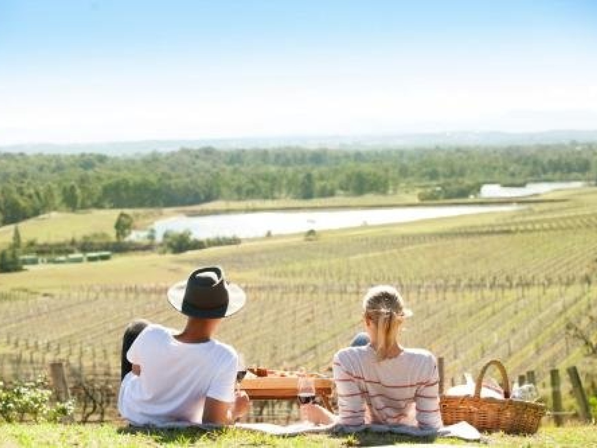 Audrey Wilkinson Vineyard