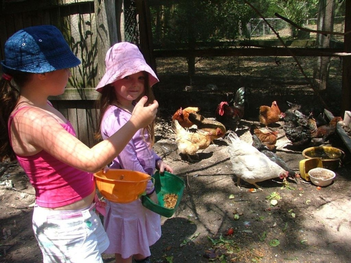 Peacehaven Country Cottages & Farmstay