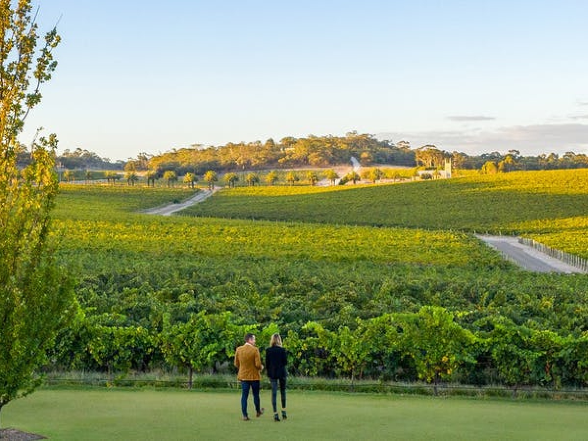 Barossa Valley Estate