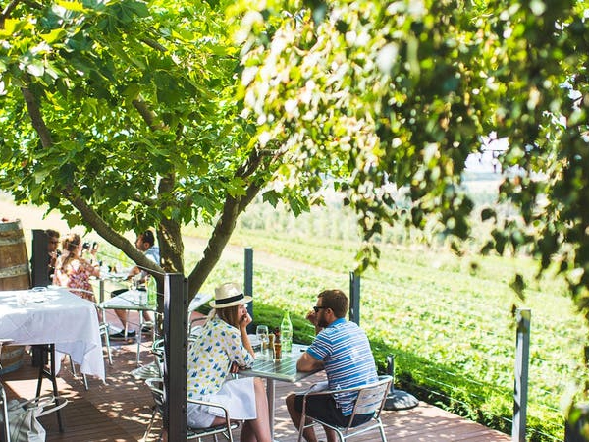 Borrodell Vineyard, Orange