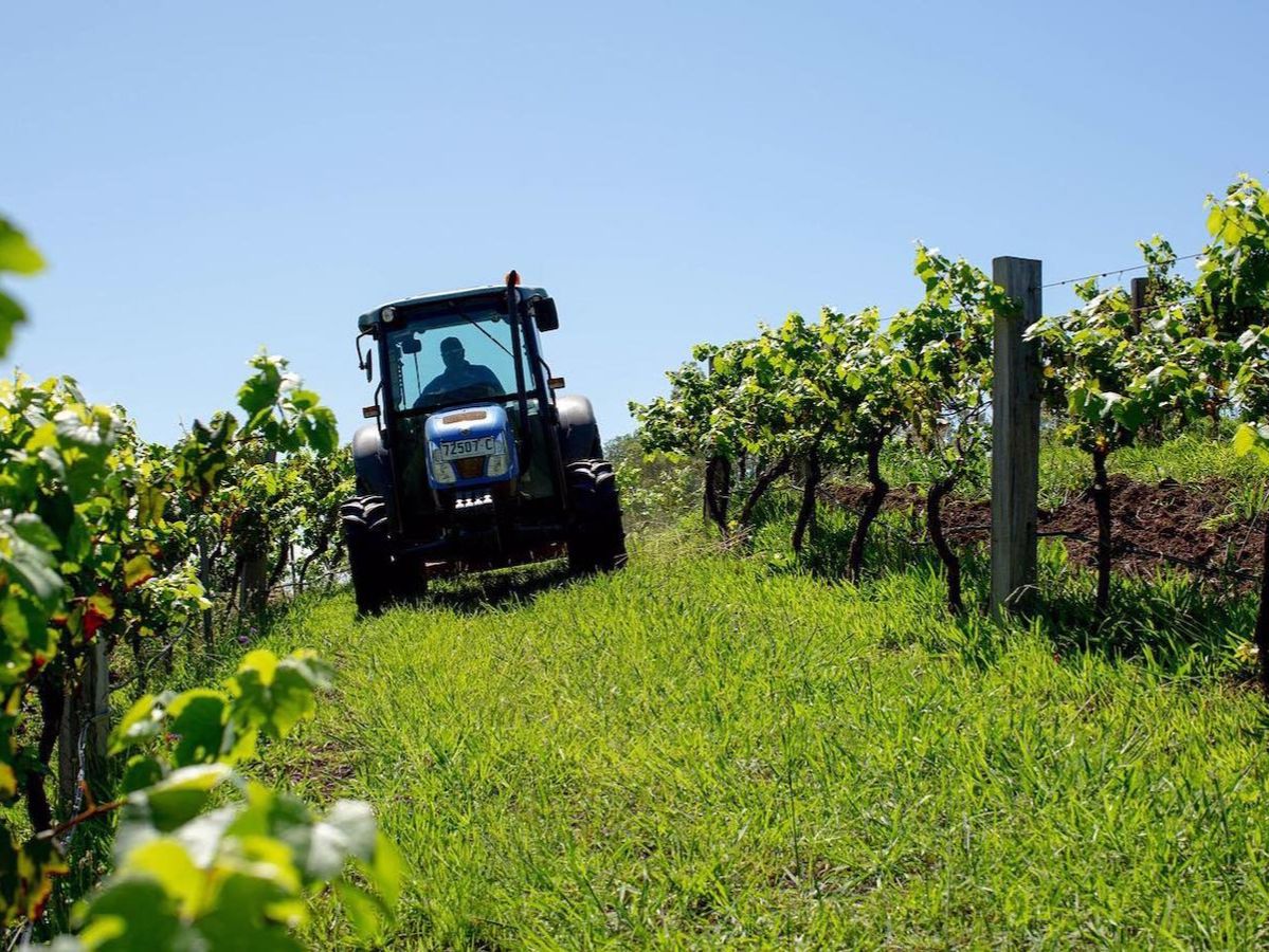 Eagles Rest Wines