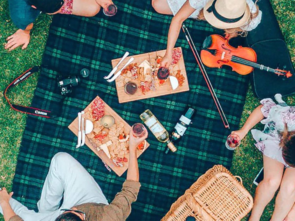 Fox Creek Wines