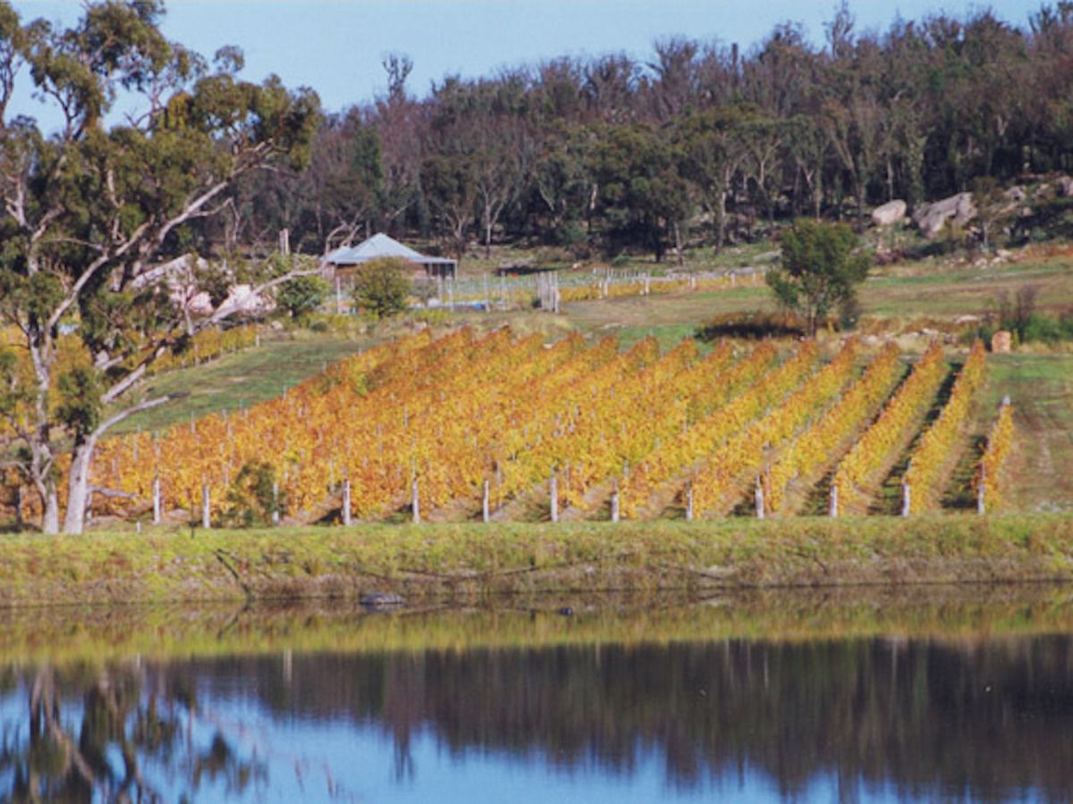 Symphony Hill Wines