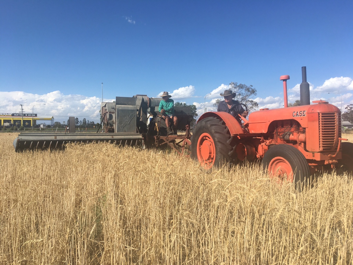 Dalby Pioneer Park Museum