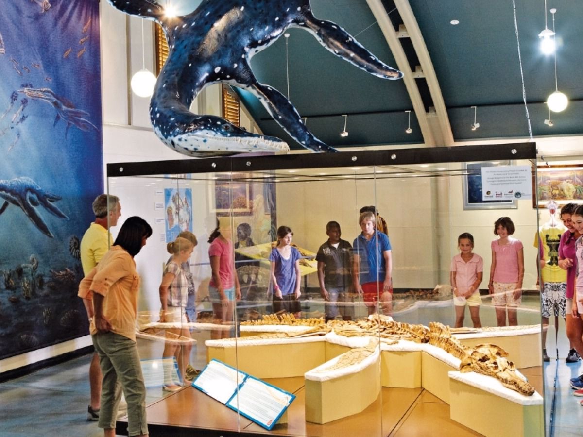 Kronosaurus Korner