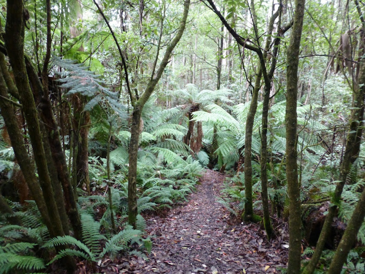 The Gallery Mount Macedon