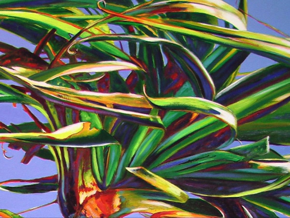 Sylvia Ditchburn Fine Art Gallery