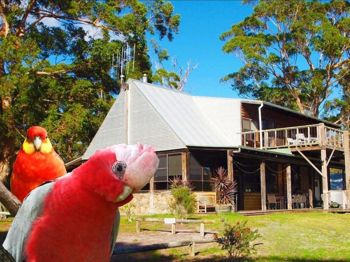 Wolfes Landing Eco Stay