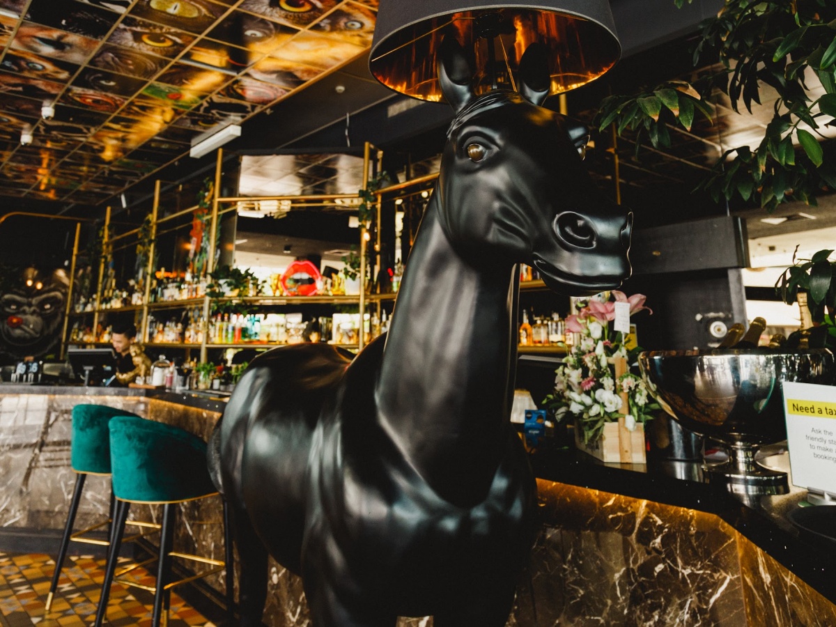 Zoo Bar (Closed), Canberra