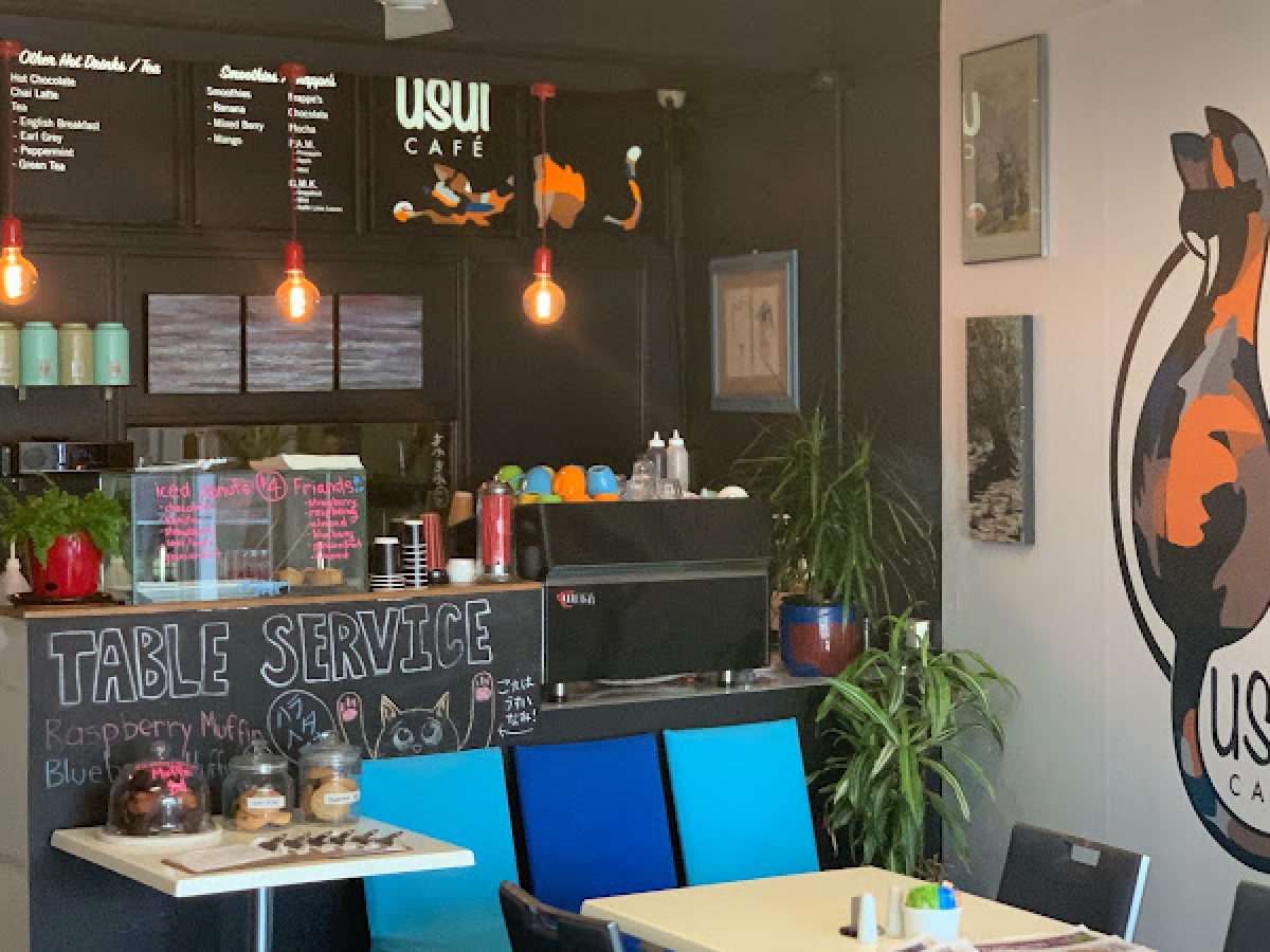 Usui Cafe