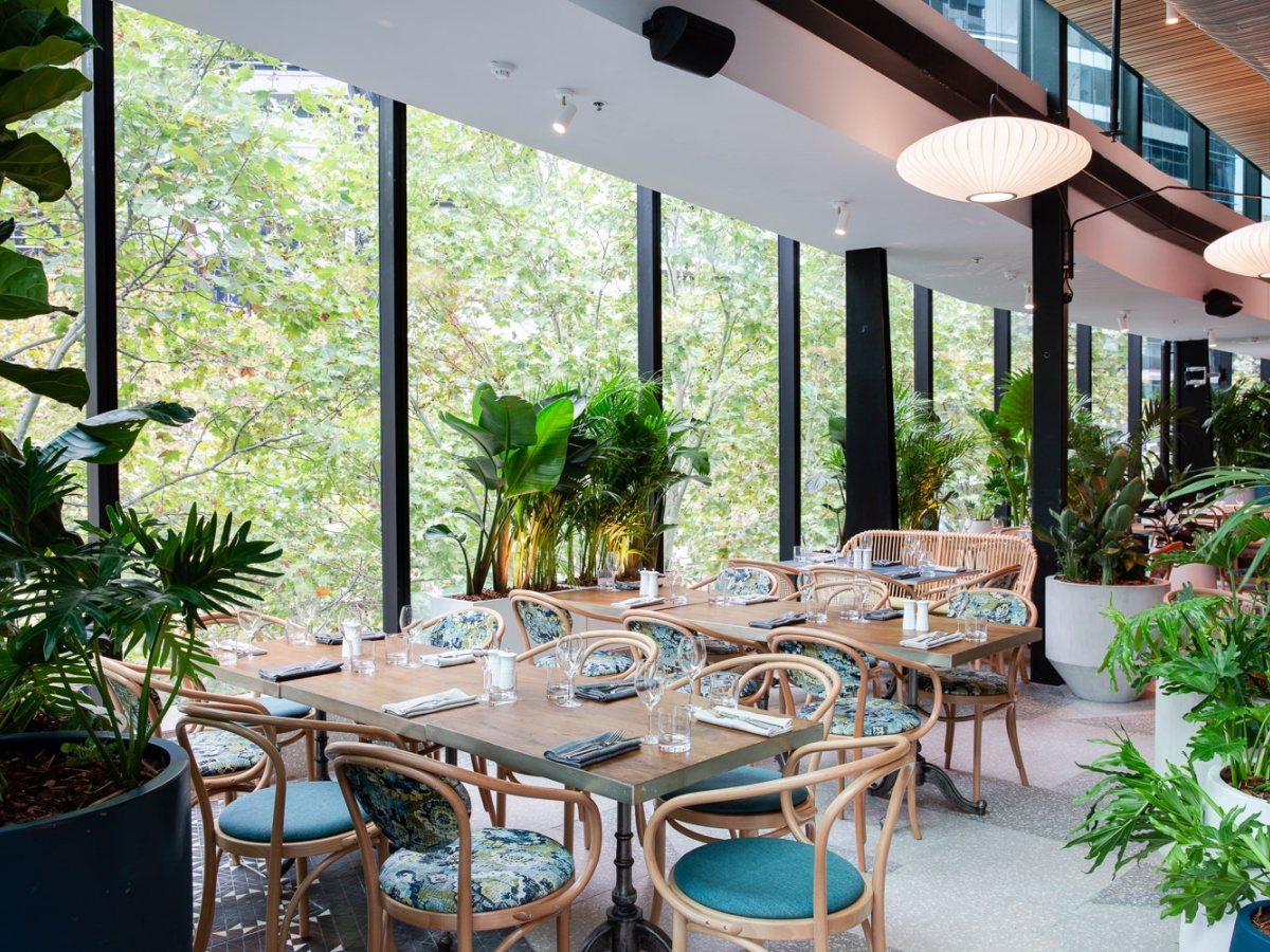 Green Moustache Rooftop Garden Bar and Restaurant