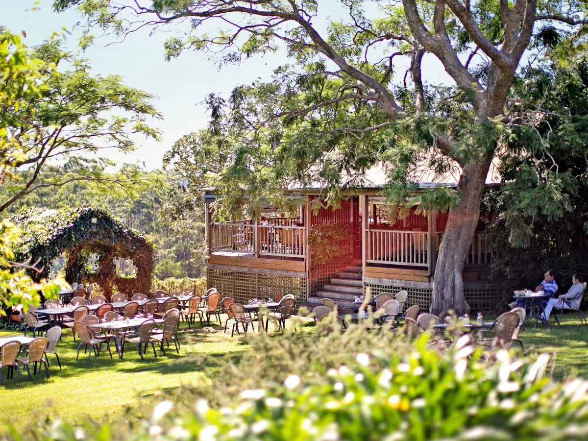 Little Fish Cafe Restaurant Vineyard