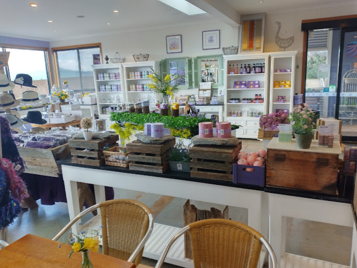 Woodcroft Cafe, Nabowla