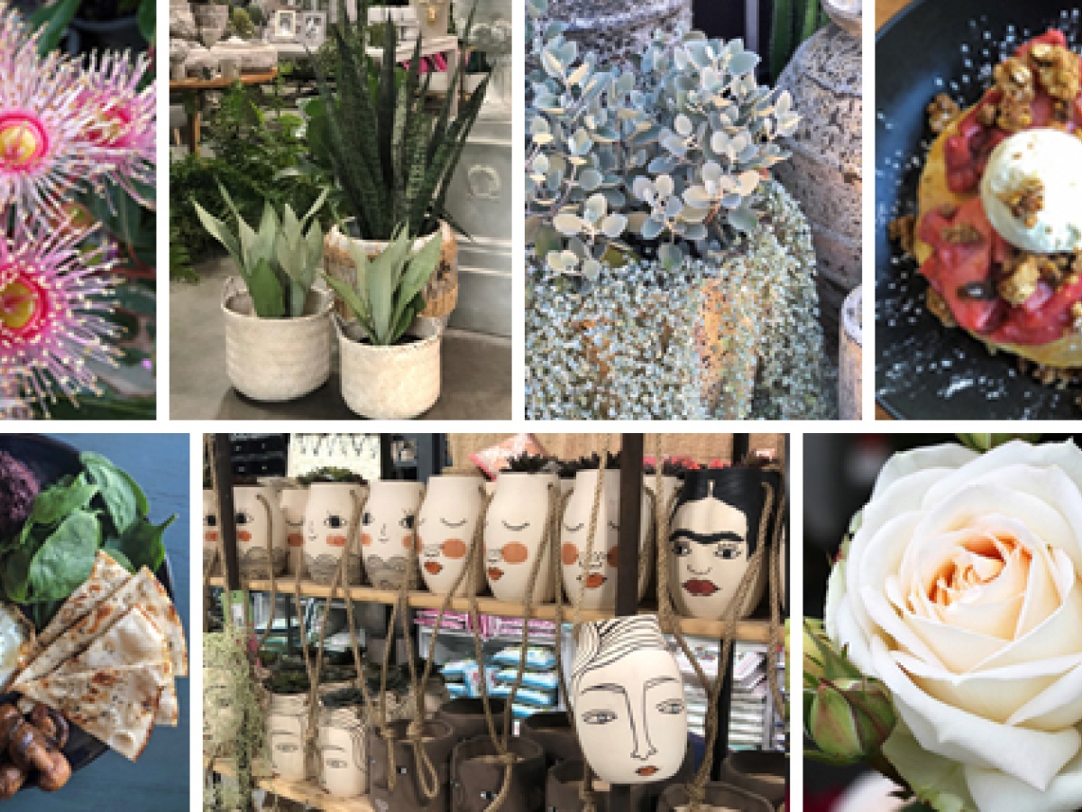 Poppy’s Home & Garden