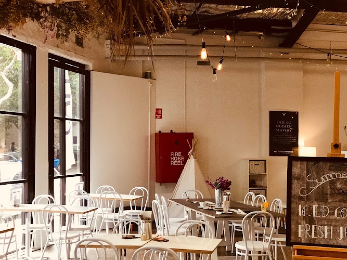 The Freedom Hub