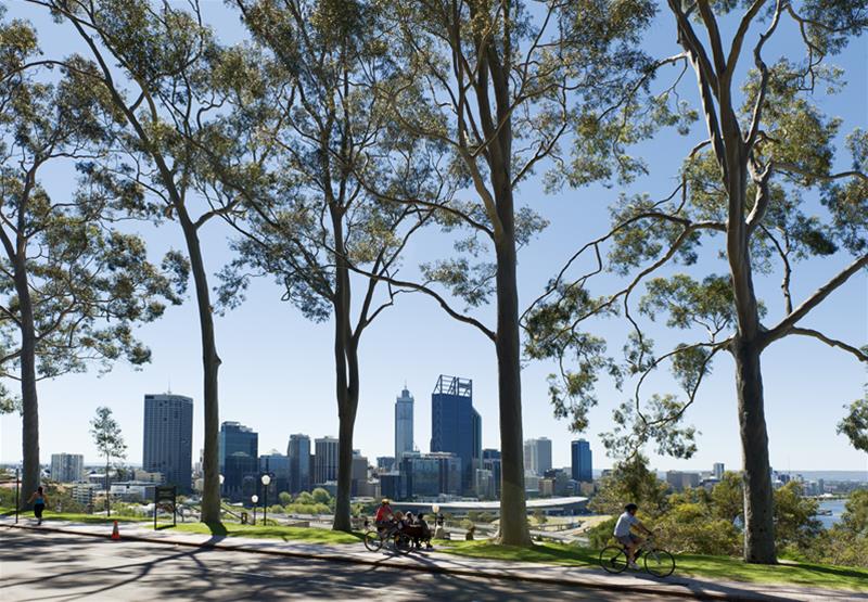 Kings Park and Botanic Garden