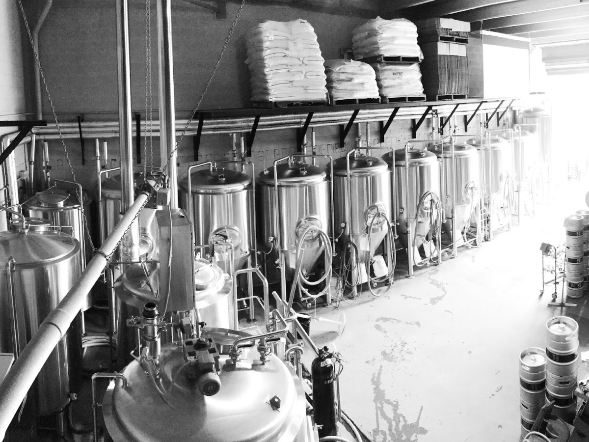 Modus Brewing