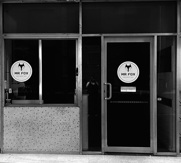 503793 lrg 2 768x693