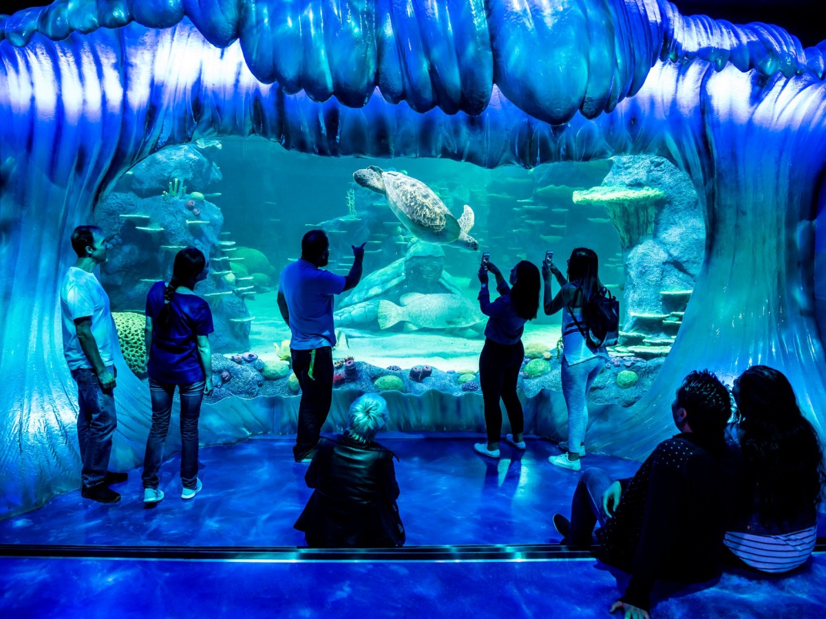 SEA LIFE Sydney Aquarium