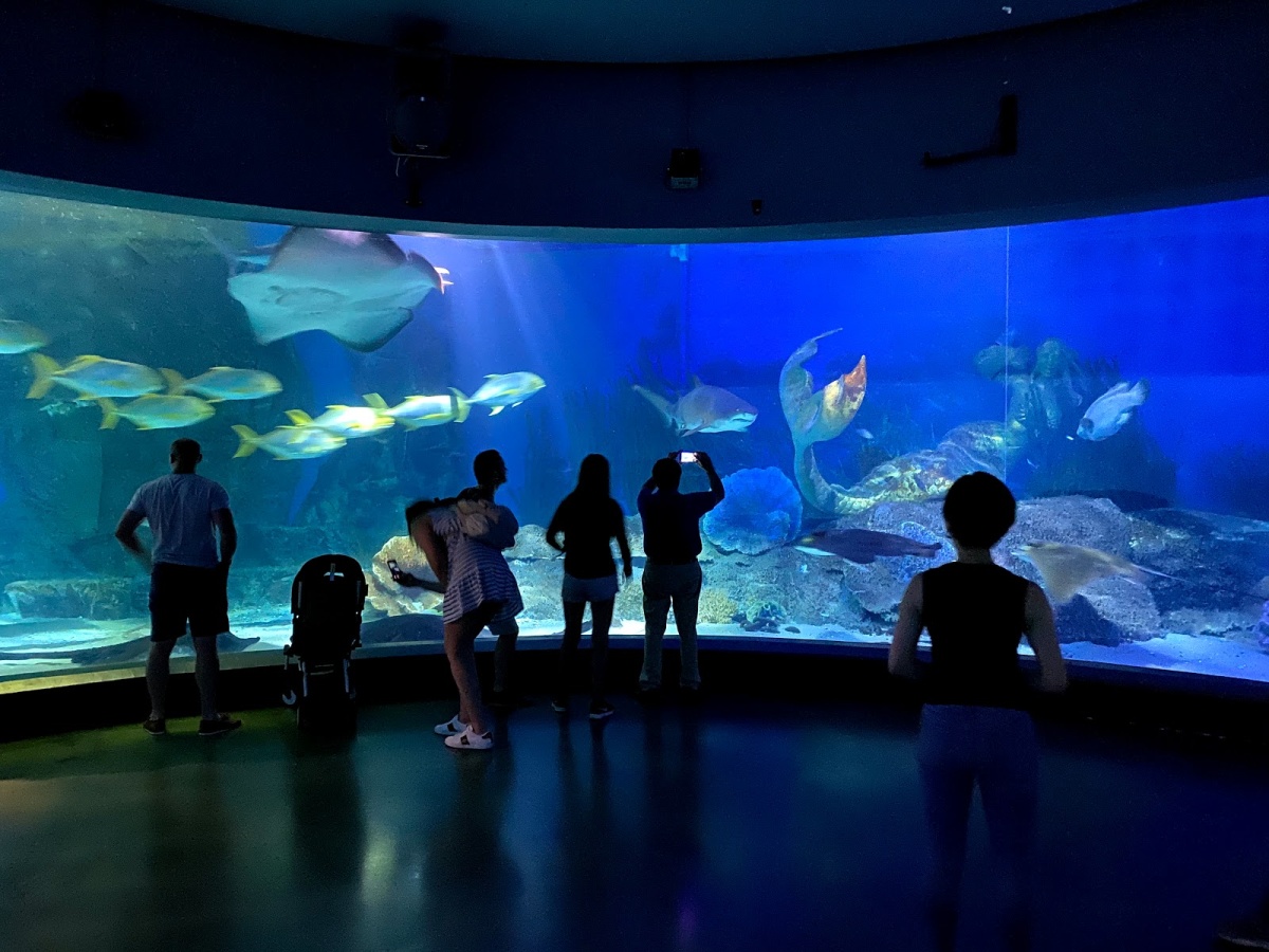 SEA LIFE Melbourne Aquarium