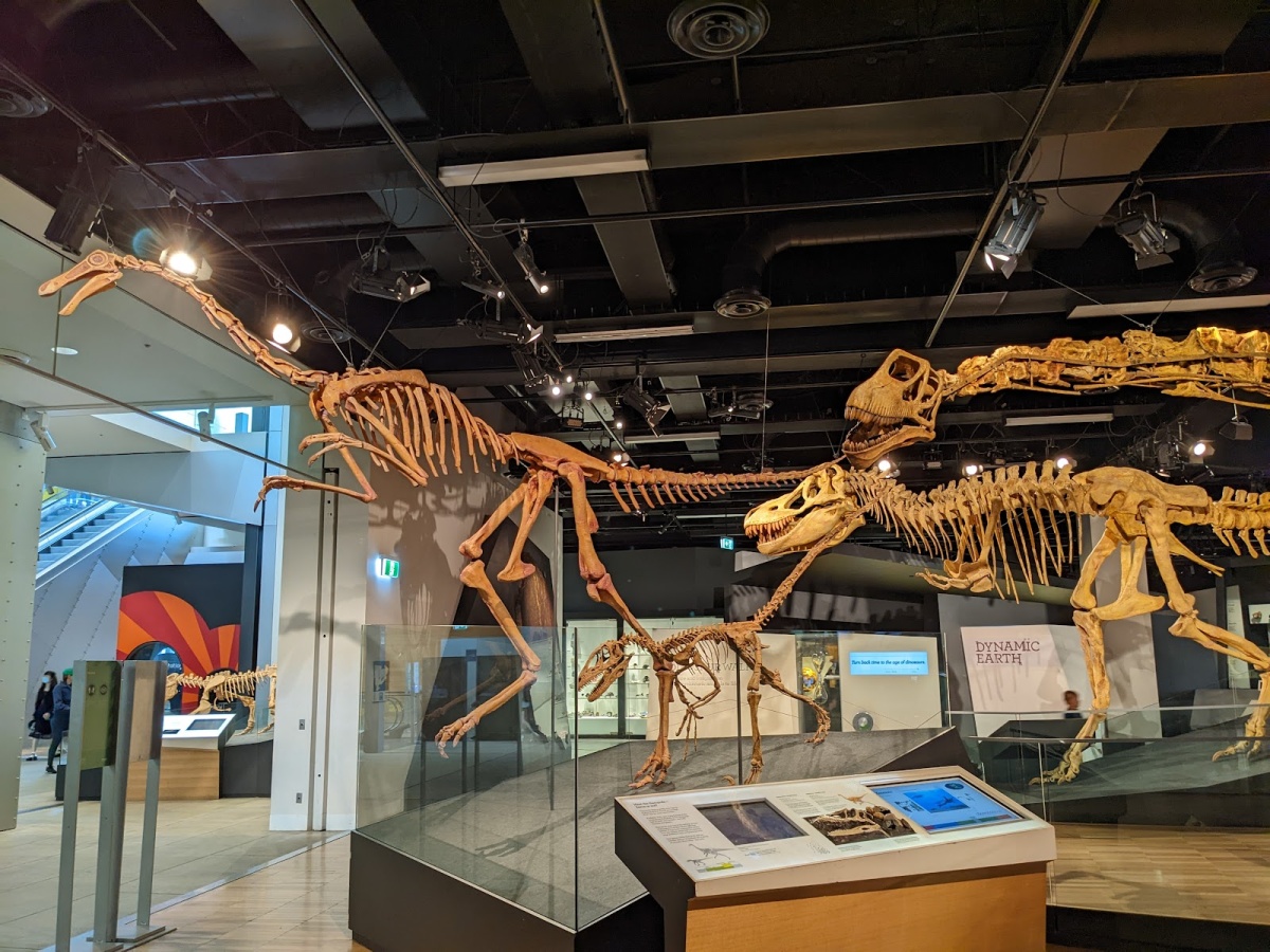 Melbourne Museum