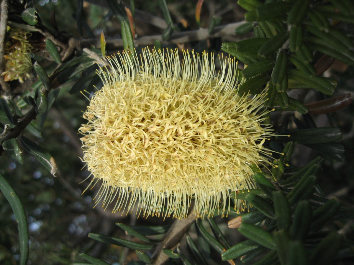 Freycinet National Park
