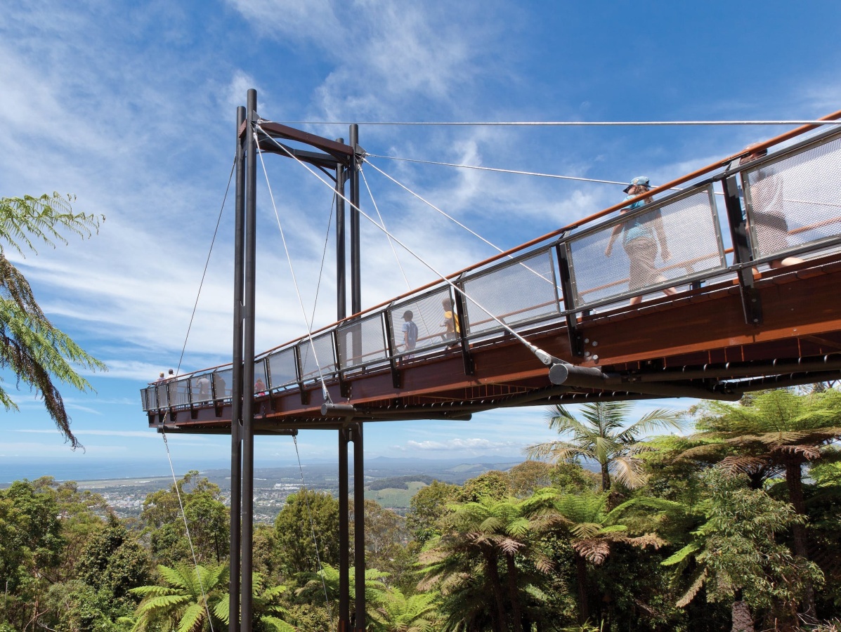 Forest Sky Pier