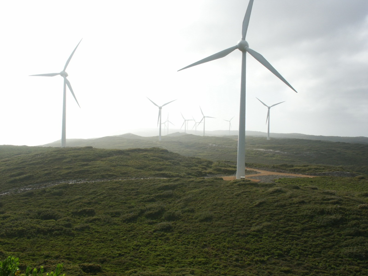 Albany Wind Farm
