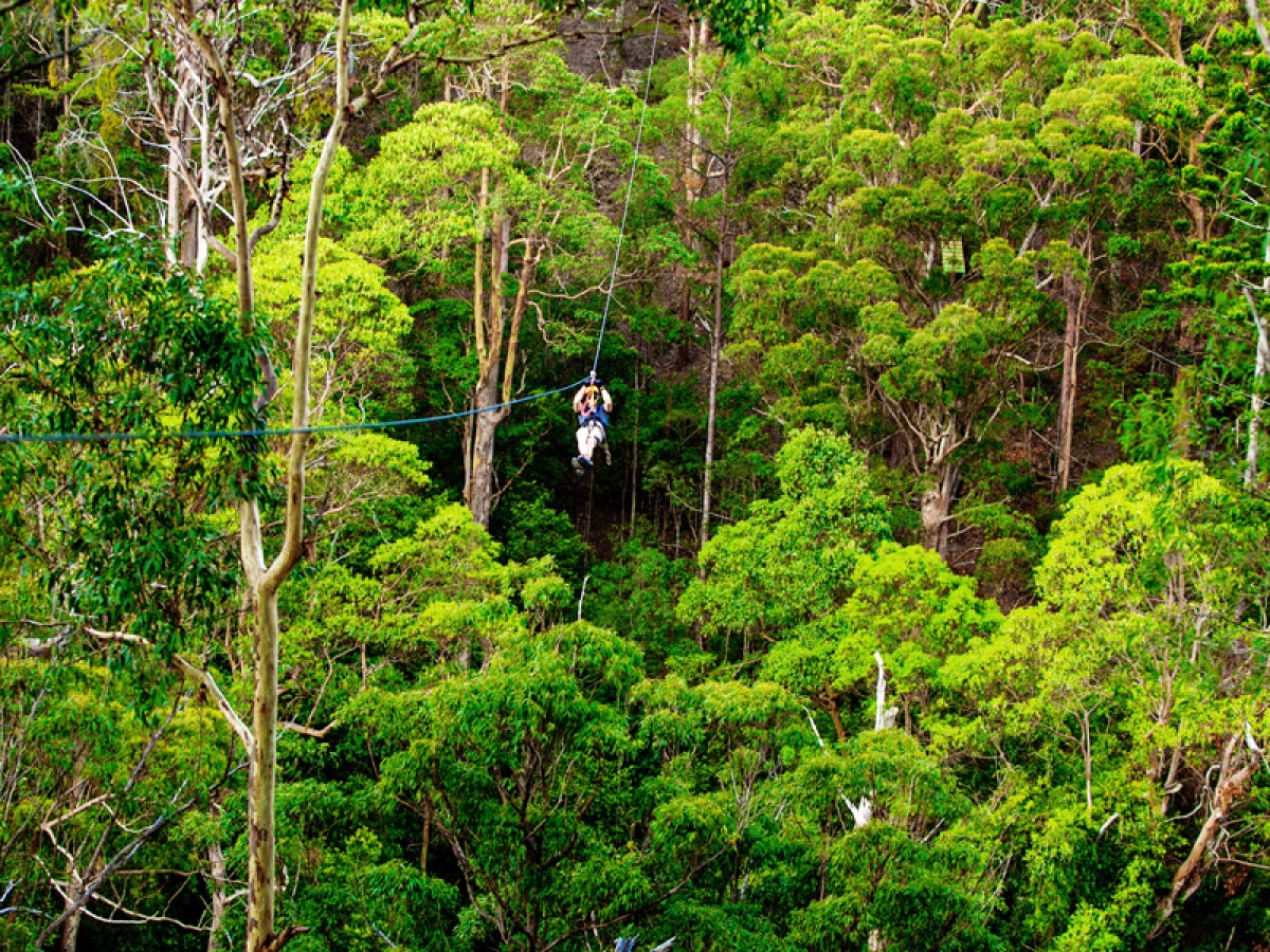 TreeTop Challenge Gold Coast – Australia’s Largest Adventure Park