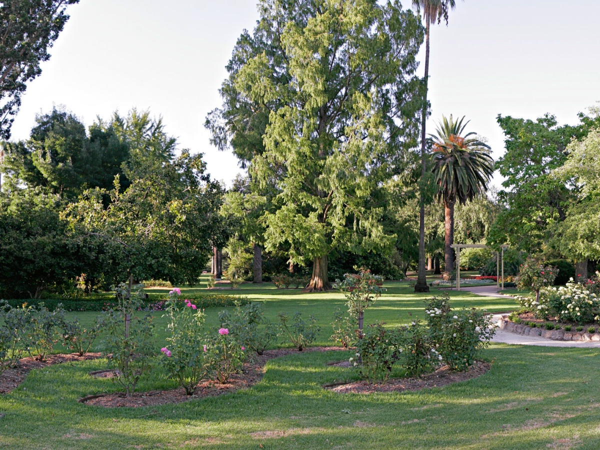 Albury Botanic Garden