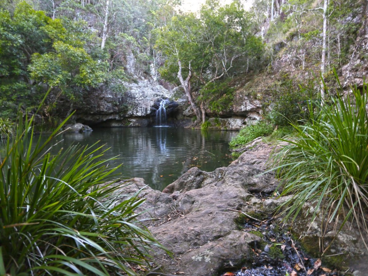 Kondalilla Falls