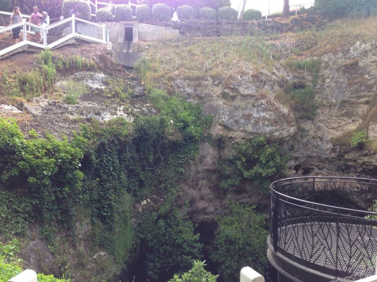Cave Gardens