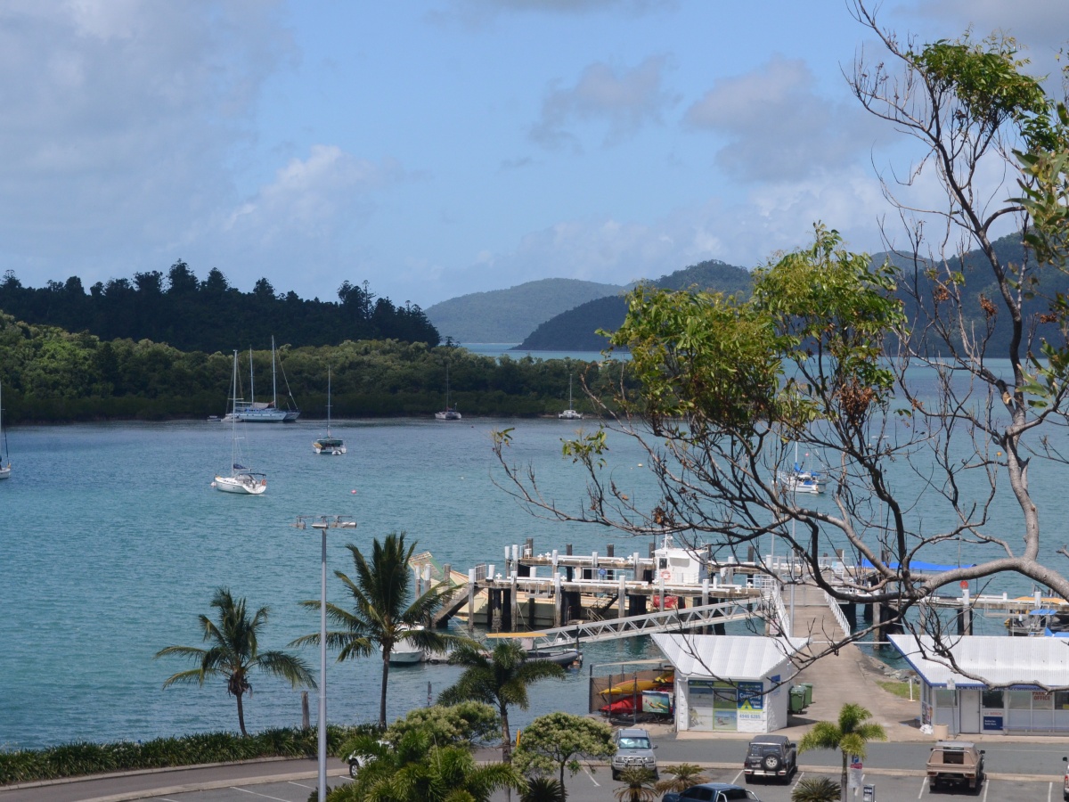 Shute Harbour