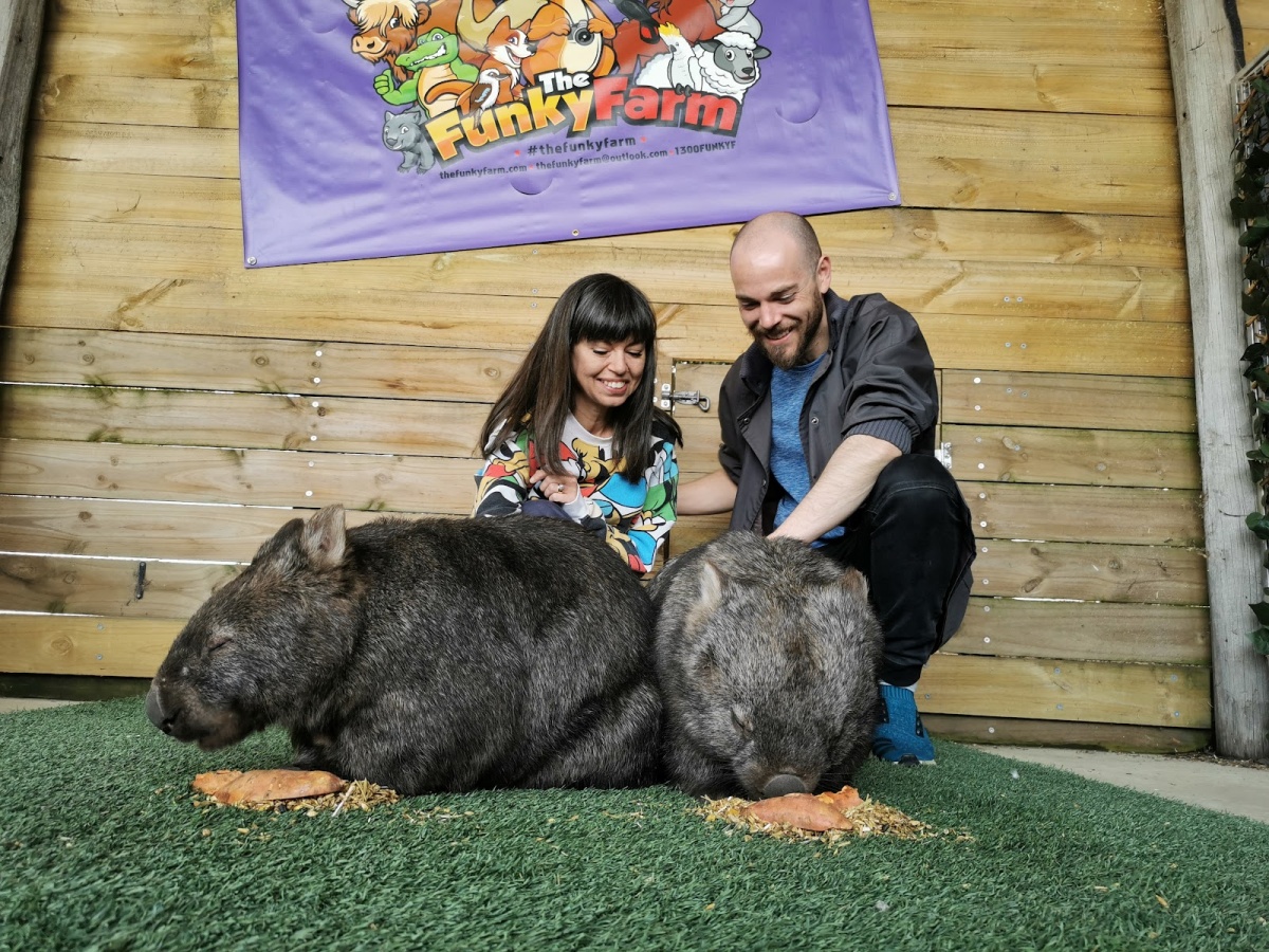 The Funky Farm (Bookings Only)