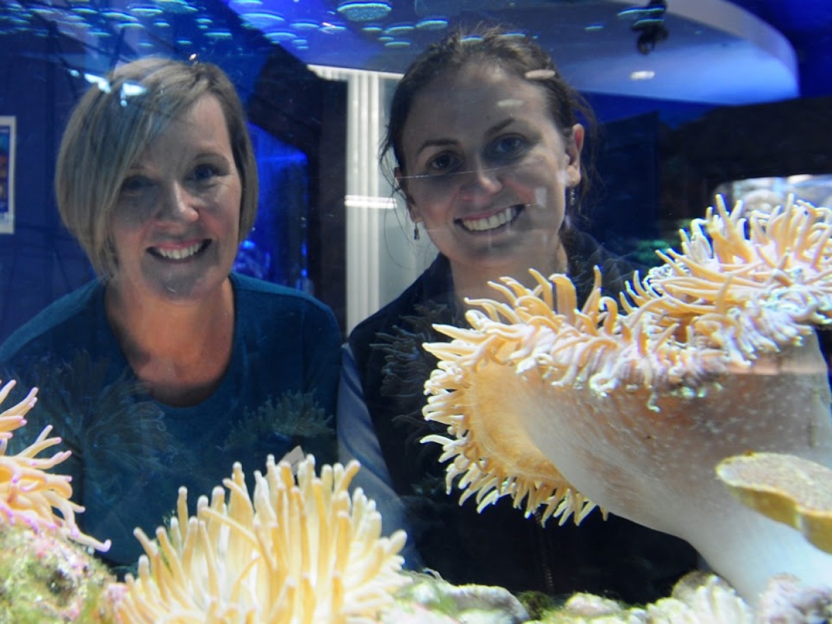 Solitary Islands Aquarium